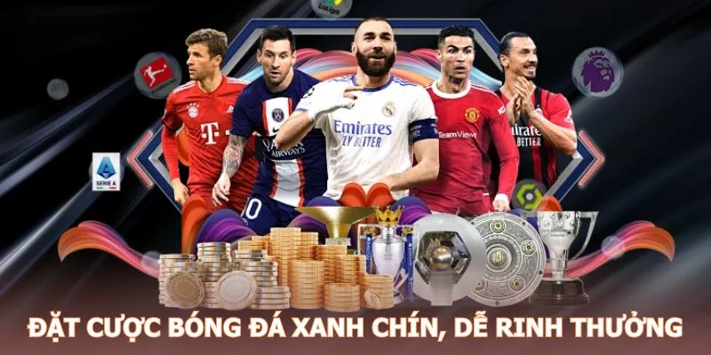 Đặt cược bóng đá xanh chín, dễ rinh thưởng về tay